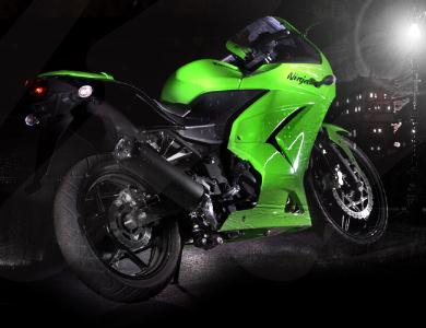 Kawasaki Ninja 250R: Rear view of Kawasaki Ninja 250R