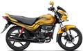 Hero Passion PRO (P)