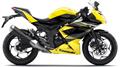 Kawasaki Ninja RR Mono (P)