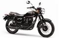 Kawasaki Estrella BJ250 (P)