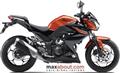 Kawasaki Z300 (Autos Maxabout)