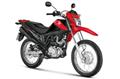 New Honda NXR 160 BROS (P)