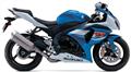 Suzuki GSX-R1000 (P)