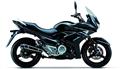 Suzuki Inazuma GW250F (P)