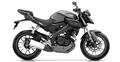 Yamaha MT-125 (P)