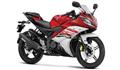Yamaha R15 V2 (P)