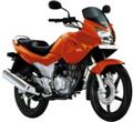 Karizma
