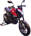 CX-01 250