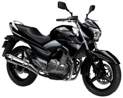 Suzuki Inazuma 250 Review and Images