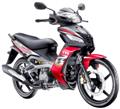 Tormax 150