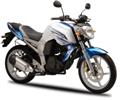 FZ16 2010
