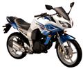 Fazer 2010