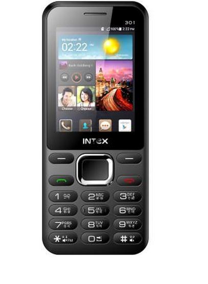 it 301 intex
