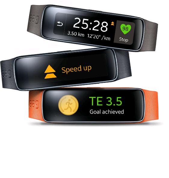 apple watch series 4 colors and bands