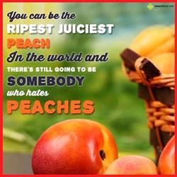 Wisdom