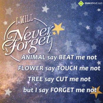 Forget