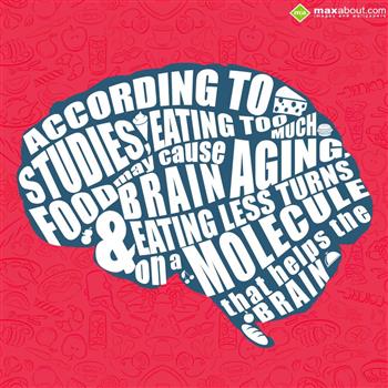 Human Body Facts