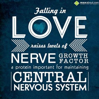 Love Facts