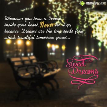 Dream