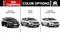 Kia Carnival Colour Options Kia Carnival Colour Options
