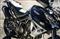 2015 Triumph Tiger 800 XRx Close-up Shot 2015 Triumph Tiger 800 XRx Close-up Shot