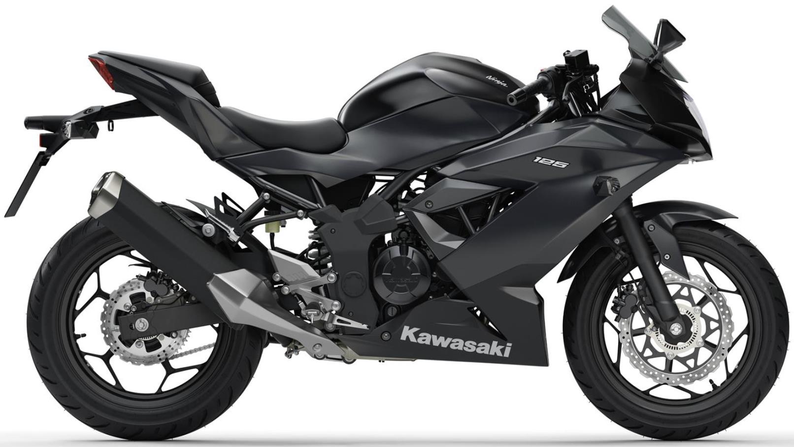 Lionel Green Street Sædvanlig Emotion 2022 Kawasaki Ninja 125 Specs and Expected Price in India