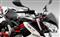 Benelli TNT 899 Close-up Benelli TNT 899 Close-up