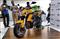 Benelli TNT 600i Gold Limited Edition Front View Benelli TNT 600i Gold Limited Edition Front View