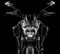 Ducati Diavel Titanium Close-up Ducati Diavel Titanium Close-up