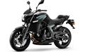 Eider 650NK (P)