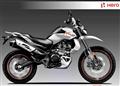 Hero XPulse 301