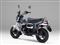 Honda Dax 125 Rear 3-Quarter View Honda Dax 125 Rear 3-Quarter View