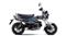 Honda Dax 125 Side View Honda Dax 125 Side View