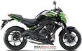 Kawasaki ER-6n (Autos Maxabout)