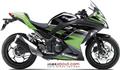Kawasaki Ninja 300 (Autos Maxabout)