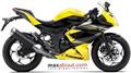 Kawasaki Ninja RR Mono (Autos Maxabout)