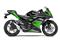 Ninja 300 KRT Edition Side View Ninja 300 KRT Edition Side View