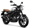 New Yamaha XSR155
