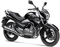Suzuki Inazuma GW250