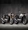 Triumph Thruxton 1200 R F3Q Triumph Thruxton 1200 R F3Q