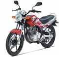 Yamaha Scorpio Z225