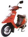 Scooty 2008