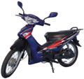 Adya