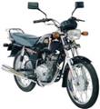 YBX 125