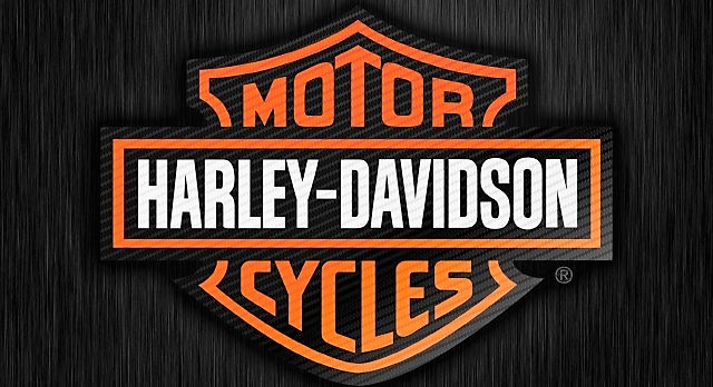 Harley-Davidson-1200-Custom-Action-97535