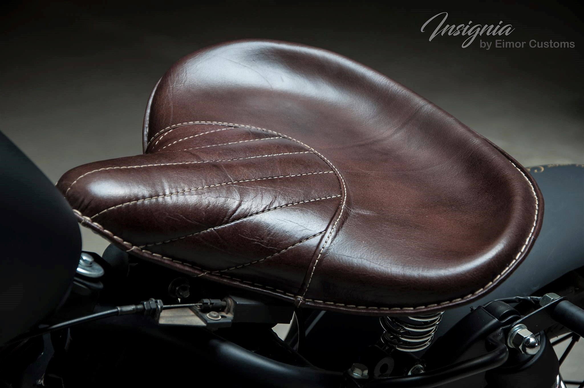 Royal Enfield Classic 350 Insignia Edition Details and Photos - shot