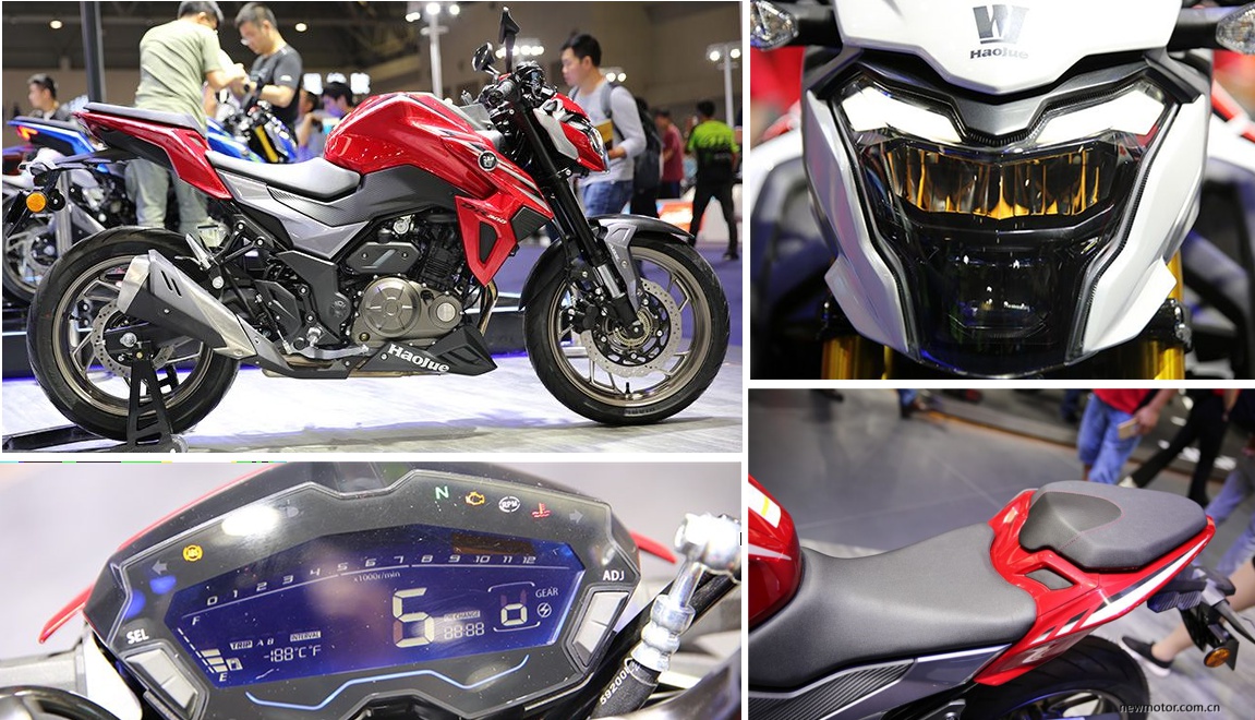 All-New Suzuki GSX-S300 (Haojue DR300) Officially Revealed