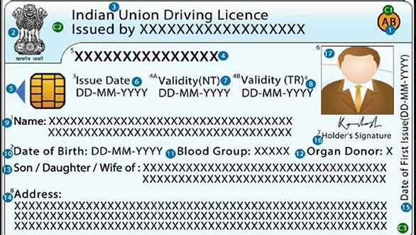 Indian Union Driving Licence