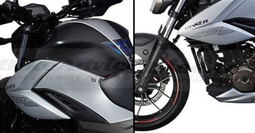 Suzuki Gixxer 250 Street Fighter Leaked Ahead of Launch in India