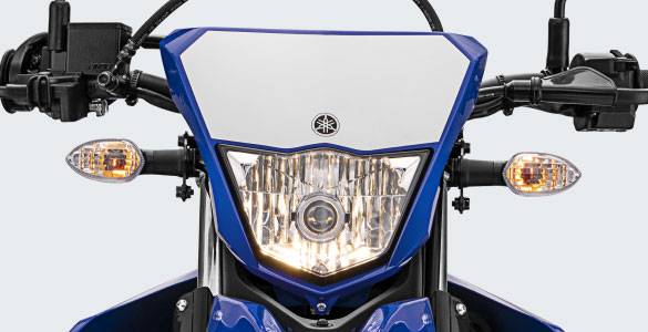 Yamaha WR155R Adventure Motorcycle Unveiled; India Launch Possible - photo